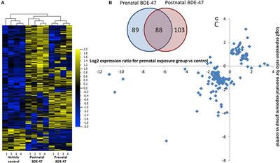 Developmental Exposure to 2,2′,4,4′-Tetrabromodiphenyl Ether Permanently Alters Blood-Liver Balance of Lipids in Male Mice